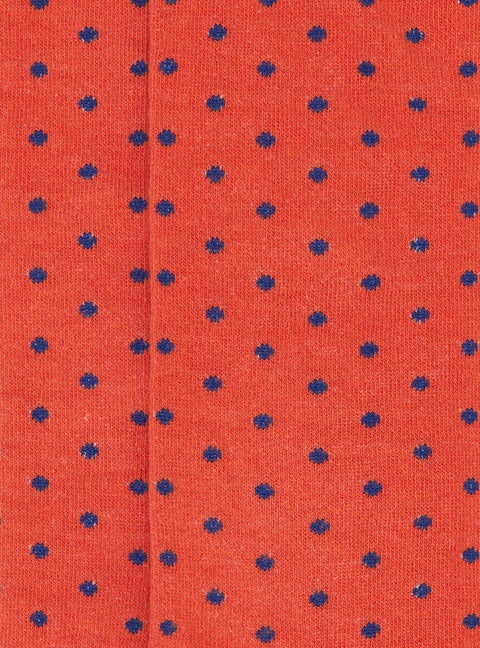 01620_493|3fa76202374d7dd8d51572181932bc12