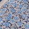 02288_C10135_3|9c386ba9ed55c8569d57be85a1aab197